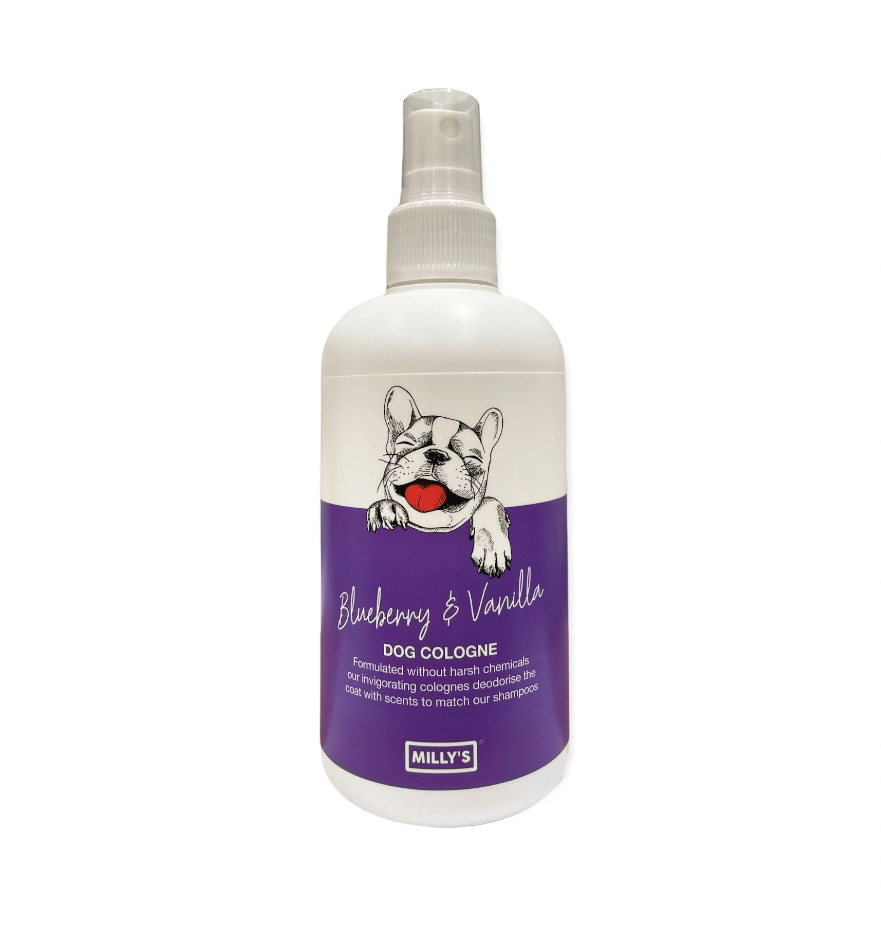 Blueberry Dream Cologne: Vanilla Whispers in a Bottle. A Sweet Escape.